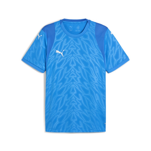 Puma Team Cup Jersey