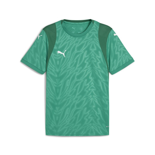 Puma Team Cup Jersey