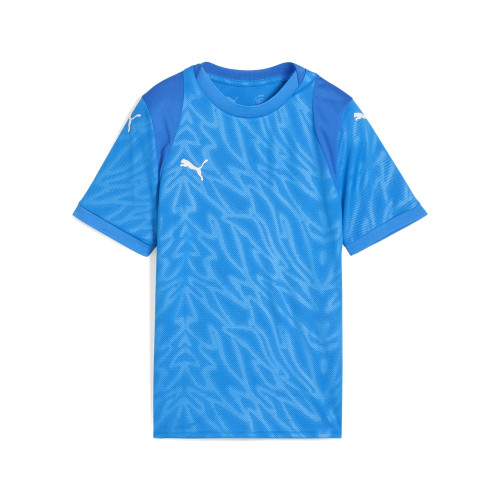 Puma Team Cup Jersey