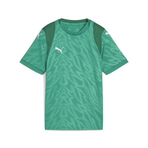 Puma Team Cup Jersey