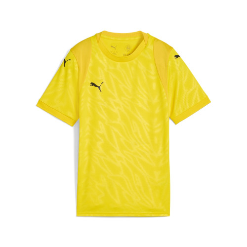 Puma Team Cup Jersey