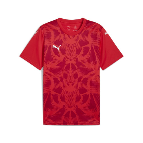 Puma Team Ultimate Jersey