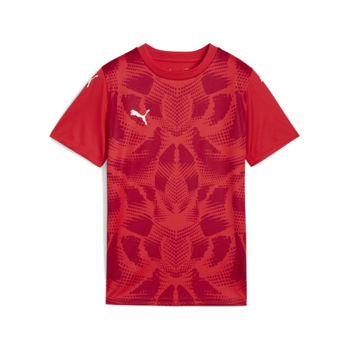 Puma Team Ultimate Jersey