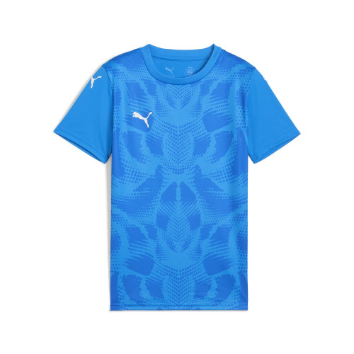 Puma Team Ultimate Jersey
