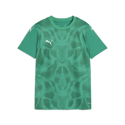 Puma Team Ultimate Jersey