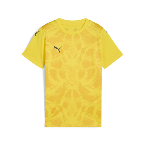 Puma Team Ultimate Jersey