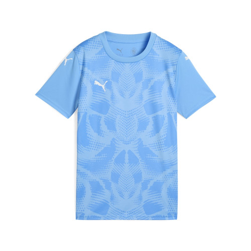 Puma Team Ultimate Jersey