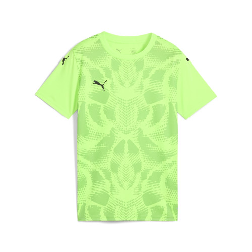 Puma Team Ultimate Jersey