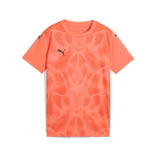 Puma Team Ultimate Jersey