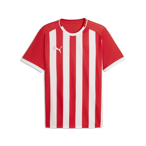 Puma Team Liga 26 Striped Jersey