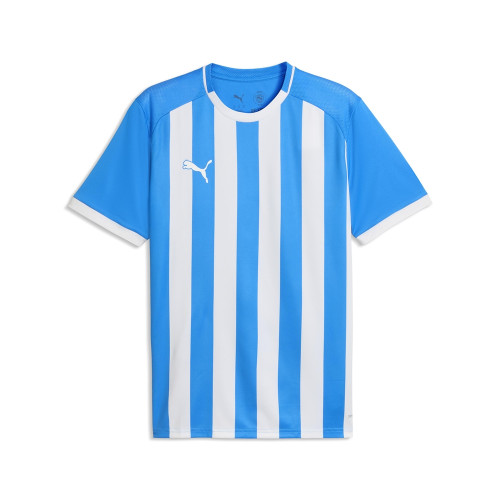 Puma Team Liga 26 Striped Jersey