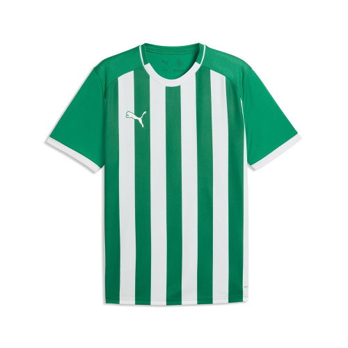 Puma Team Liga 26 Striped Jersey