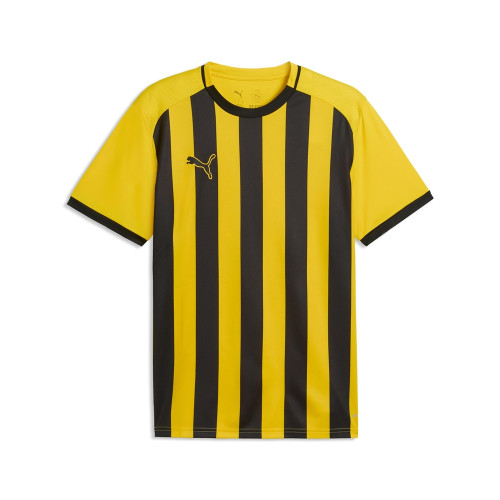 Puma Team Liga 26 Striped Jersey