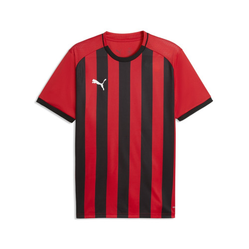 Puma Team Liga 26 Striped Jersey