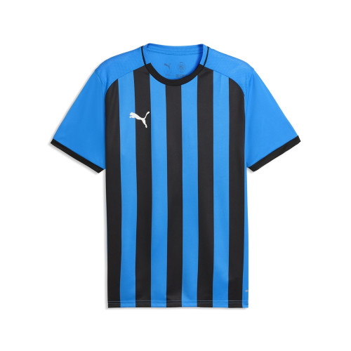Puma Team Liga 26 Striped Jersey