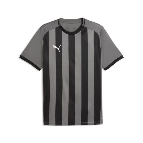 Puma Team Liga 26 Striped Jersey