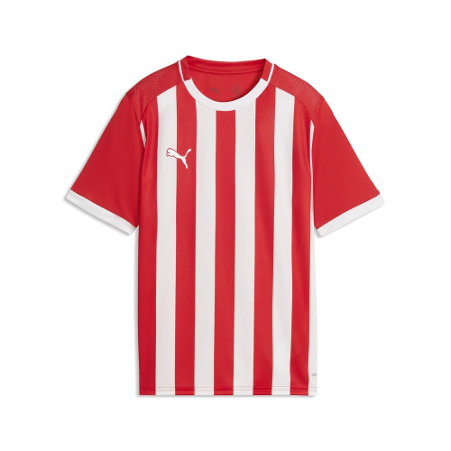 Puma Team Liga 26 Striped Jersey