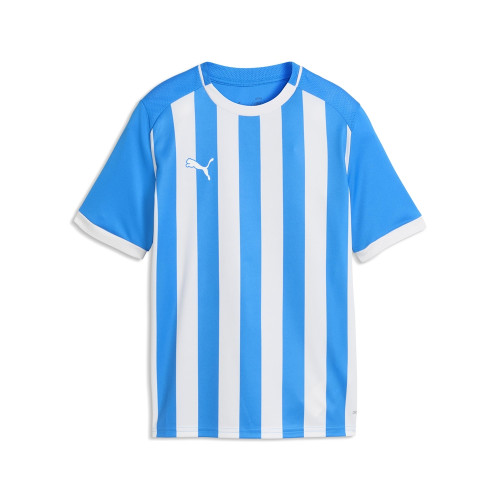 Puma Team Liga 26 Striped Jersey