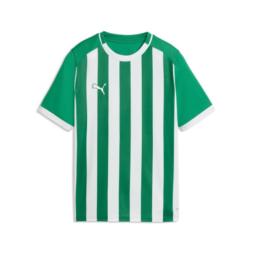 Puma Team Liga 26 Striped Jersey