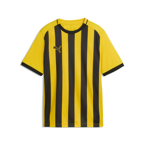 Puma Team Liga 26 Striped Jersey