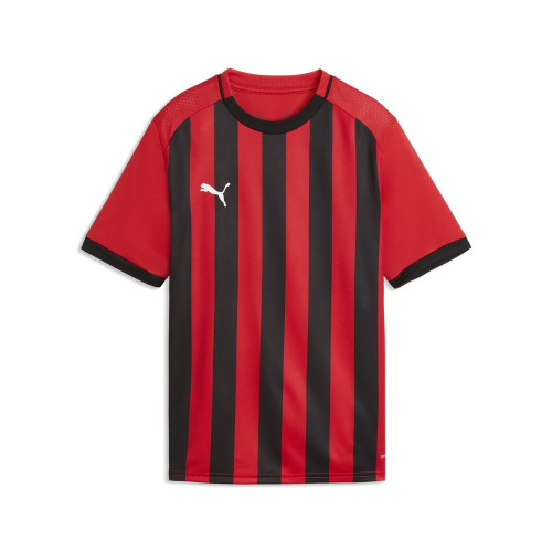 Puma Team Liga 26 Striped Jersey