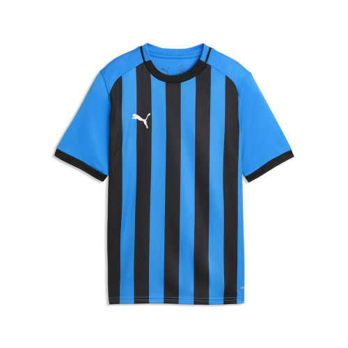Puma Team Liga 26 Striped Jersey