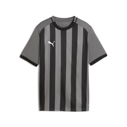 Puma Team Liga 26 Striped Jersey