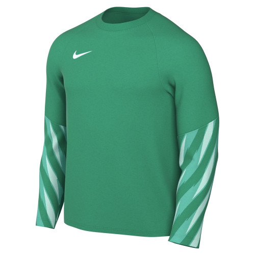 Nike Park V Goalkeeper Jersey (Long Sleeve)