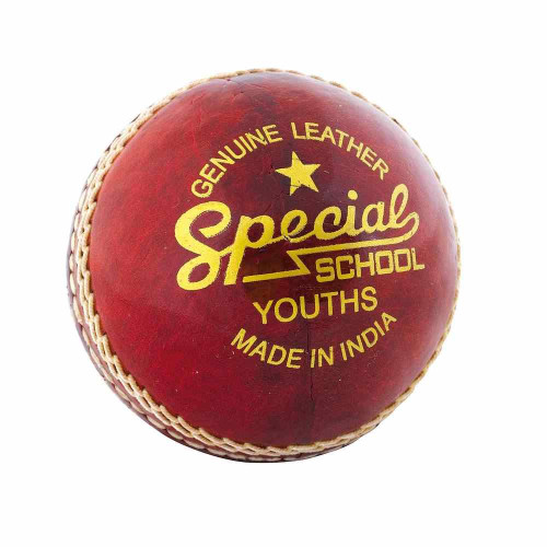 Readers Special School Cricket Ball