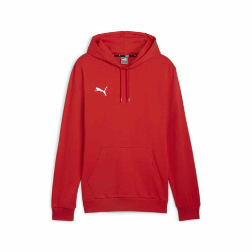 Puma Team Goal Casuals Hoody