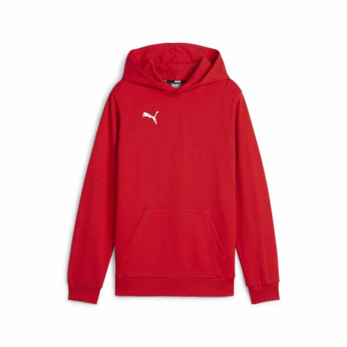Puma Team Goal Casuals Hoody