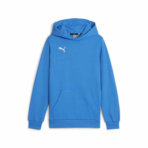 Puma Team Goal Casuals Hoody