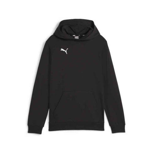 Puma Team Goal Casuals Hoody