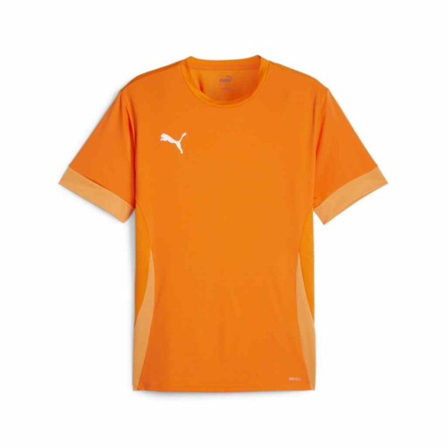 Puma Team Goal Match Day Jersey