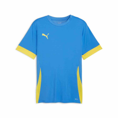 Puma Team Goal Match Day Jersey