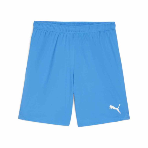 Puma Team Goal Shorts