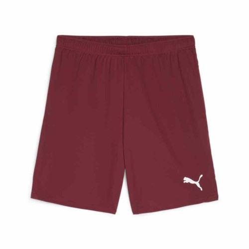 Puma Team Goal Shorts
