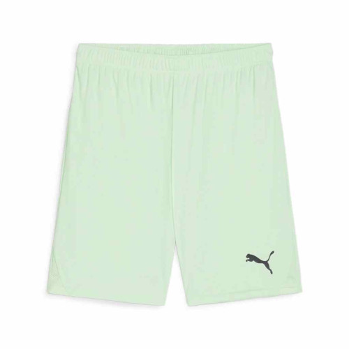 Puma Team Goal Shorts