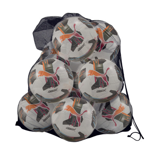 Puma Orbita 6 MS Training Football Bundle (x10) + Free Bag