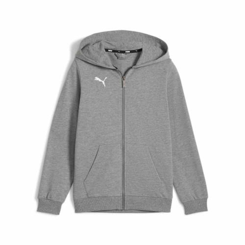 Puma Team Goal Casuals Hooded Jacket