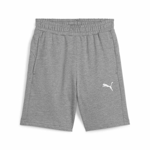 Puma Team Goal Casuals Shorts