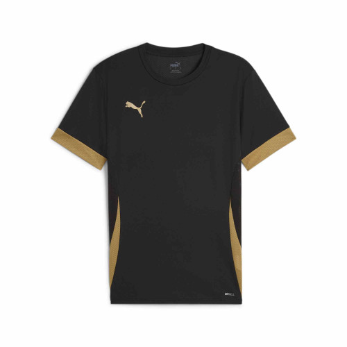 Puma Team Goal Match Day Jersey