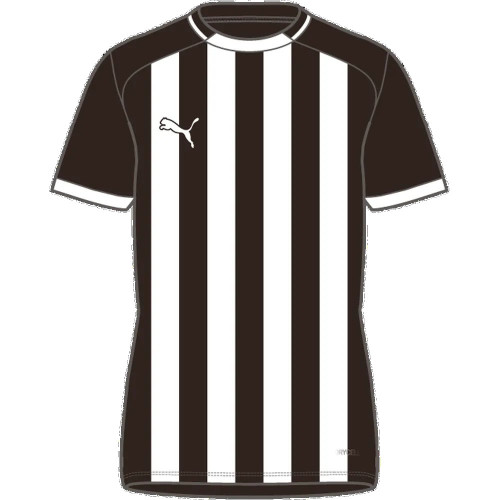 Puma Team Liga 26 Striped Jersey