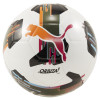 Puma Orbita 6 MS Training Football Bundle (x10) + Free Bag