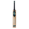 GM Aion 606 English Willow Cricket Bat