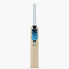 GM Diamond 606 English Willow Cricket Bat