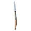 GM Diamond 202 Kashmir Willow Cricket Bat