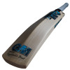 GM Diamond 202 Kashmir Willow Cricket Bat