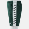 Joma Heroic Training Shorts