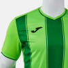 Joma Tiger VIII Shirt (Short Sleeve)